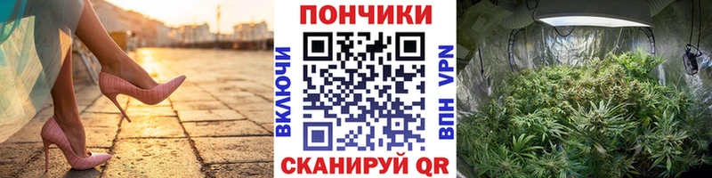 купить закладку  Невель  мориарти телеграм  Бошки Шишки VHQ 